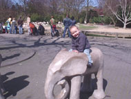 Is dit nou een echte olifant?